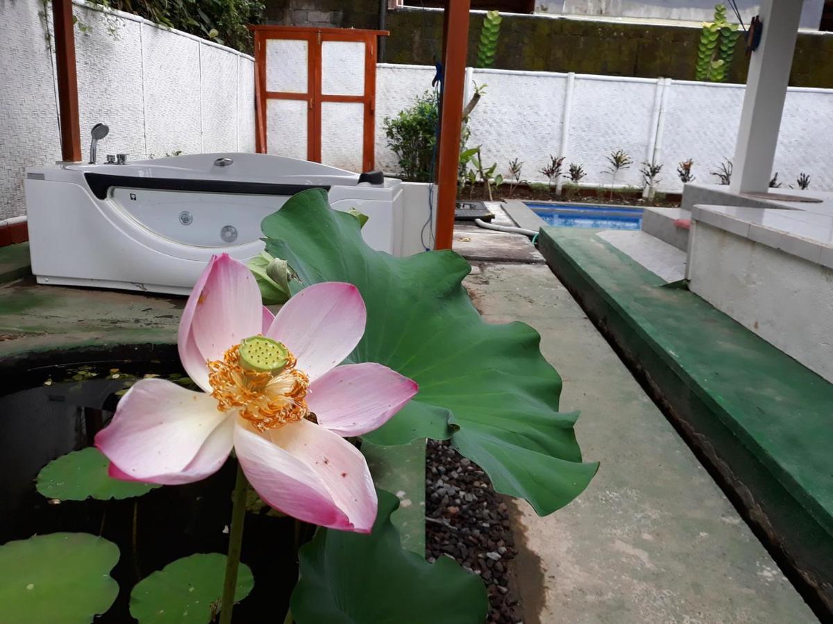 White Creative Villa Campuhan Ubud Exteriér fotografie